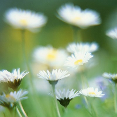 1920 x 1080 HD Wallpapers 3296